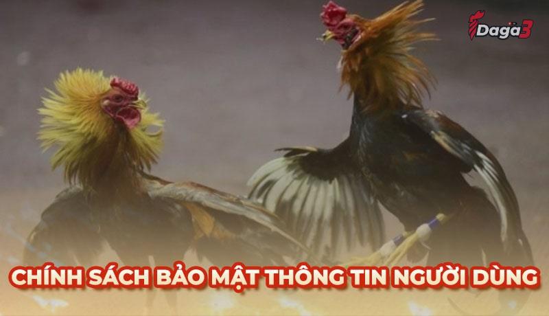 Chính sách bảo mật thông tin người dùng tại savisha.in