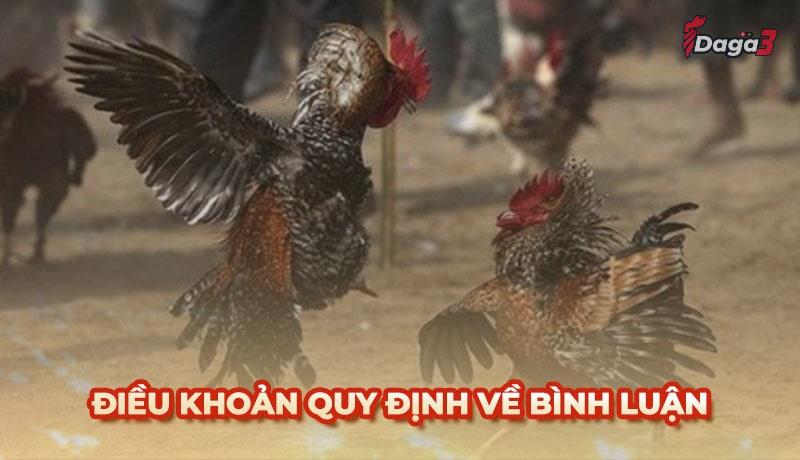 Người dùng cần tuân thủ một số điều khoản khi bình luận trên savisha.in