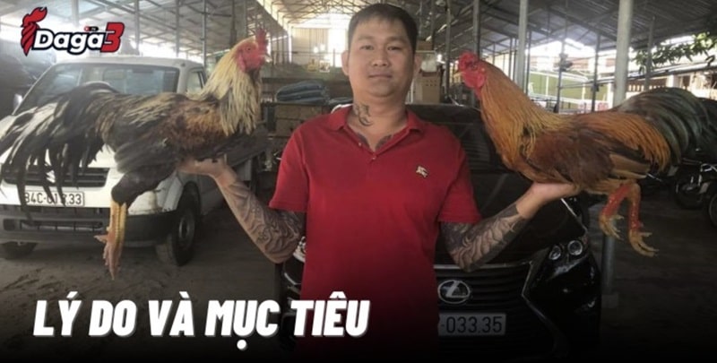 Mít Trà Cú sáng lập trang đá gà trực tiếp savisha.in